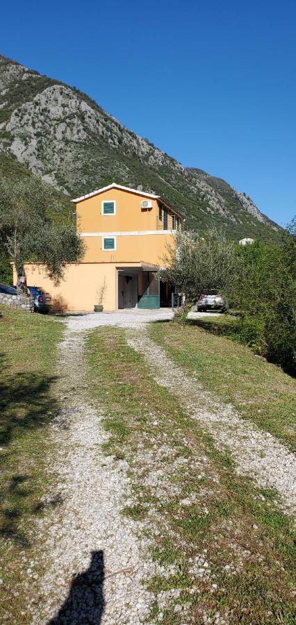Apartman Barbara Κότορ Εξωτερικό φωτογραφία