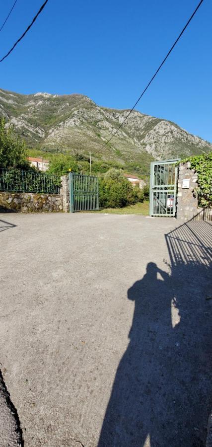Apartman Barbara Κότορ Εξωτερικό φωτογραφία