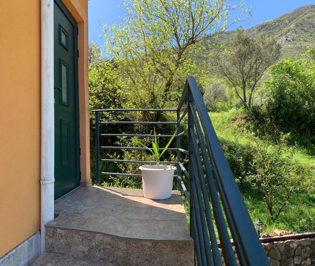 Apartman Barbara Κότορ Εξωτερικό φωτογραφία